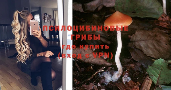 мет Козловка