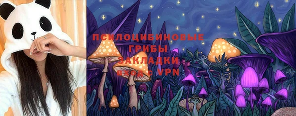 не бодяженный Киренск