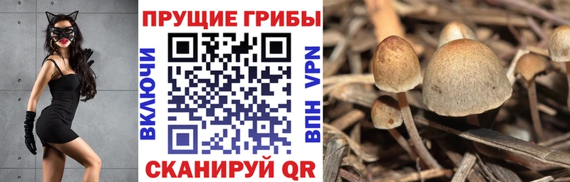 Псилоцибиновые грибы мухоморы  Купить где  Аткарск 